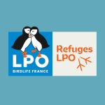 logo lpo